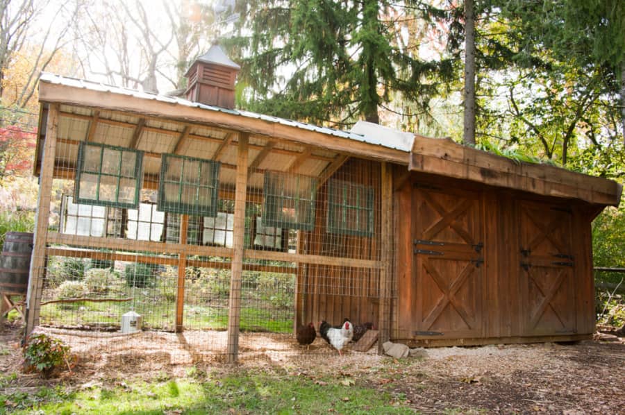 chicken coop ideas 14