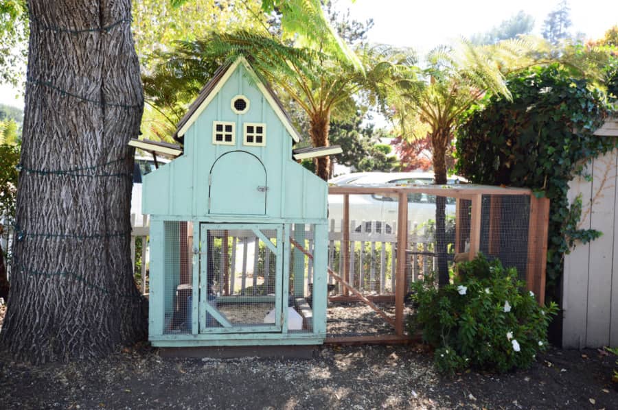chicken coop ideas 16