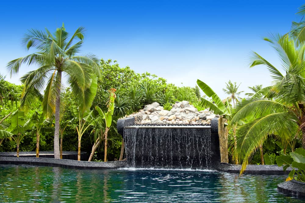Pool with small fall in tropical garden