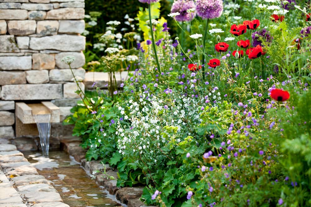 Garden flowers with stone walled stream