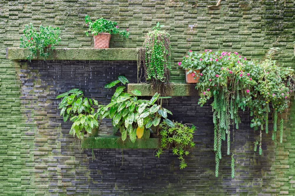 Garden with waterfall on stone bricks wall