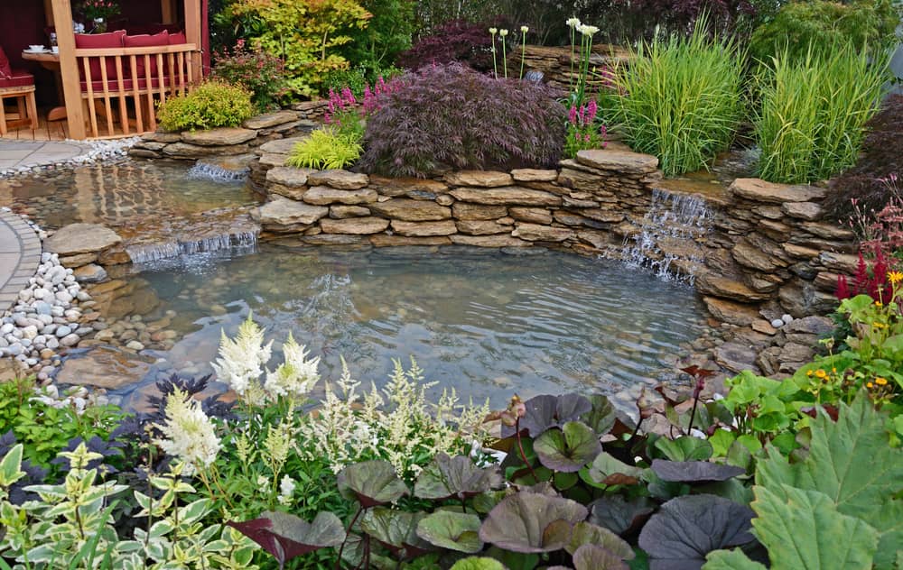 aquatic garden with planted rockery and waterfalls