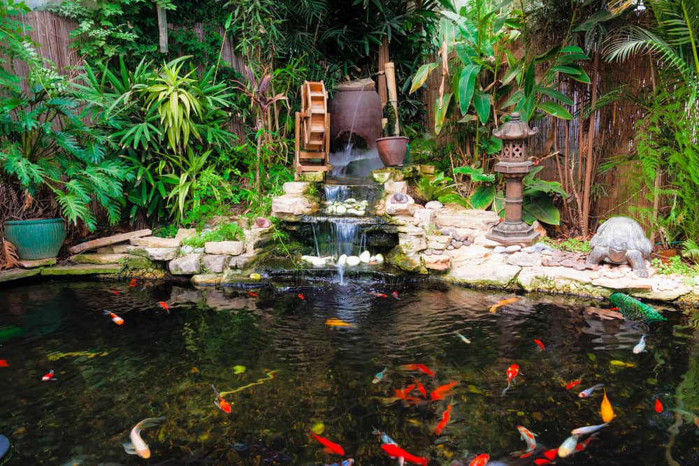 Decorative pond with fountain and gold fish