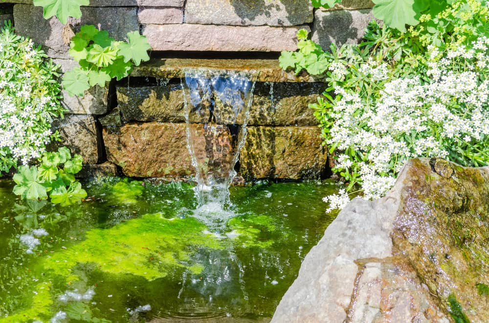 Overlooking a small waterfall and garden pond