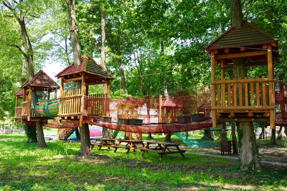Colorful playground, houses on trees