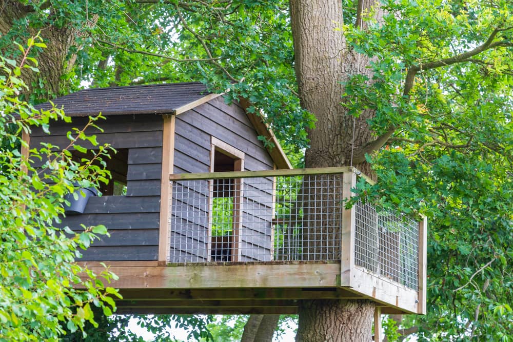 Wooden grey tree house with terrace between old oak trees