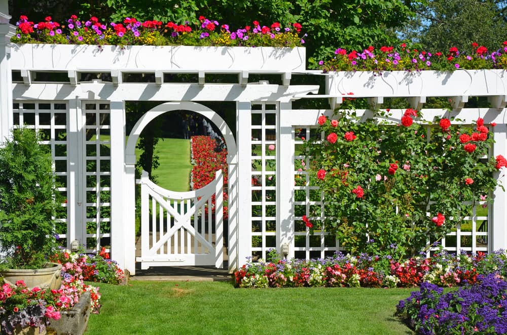 white garden gate and fence