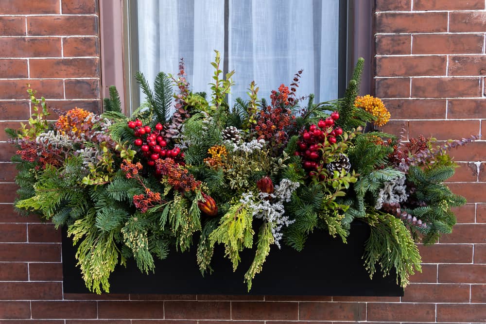 Window Box with Winter Arrangement on Brick Building