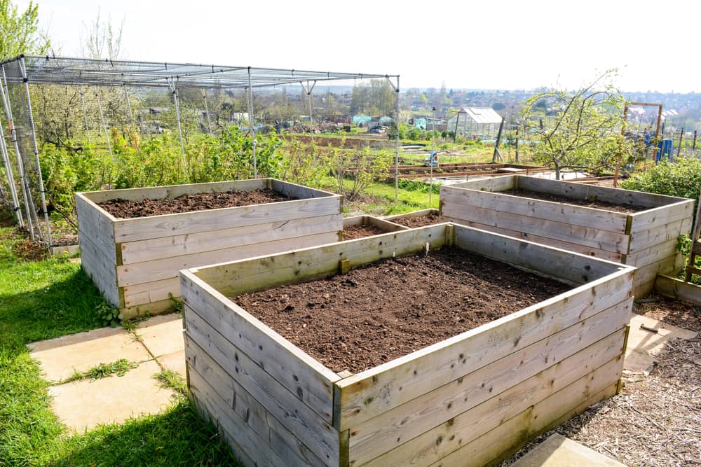 Raised planter box for growing vegetables and flowers