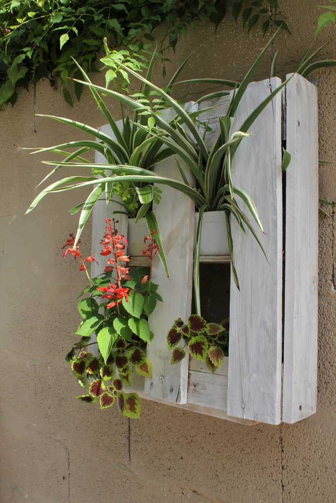 A new life to old pallet: Self-made planter or pot. DIY Project made out of wooden planks. Hanging on beige wall with flowers and plants in it.
