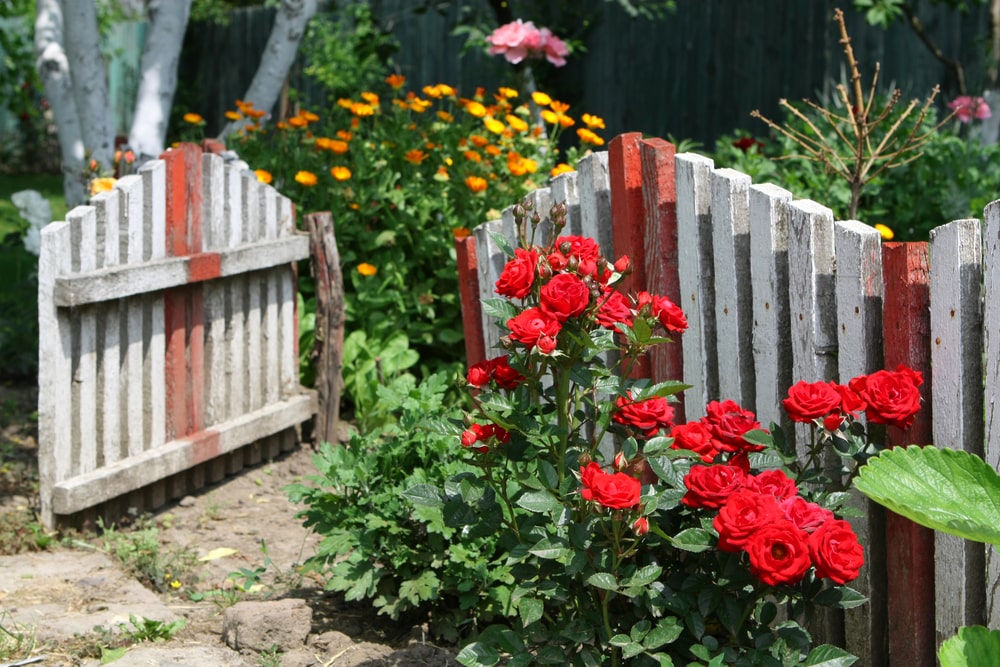 distressed gates
