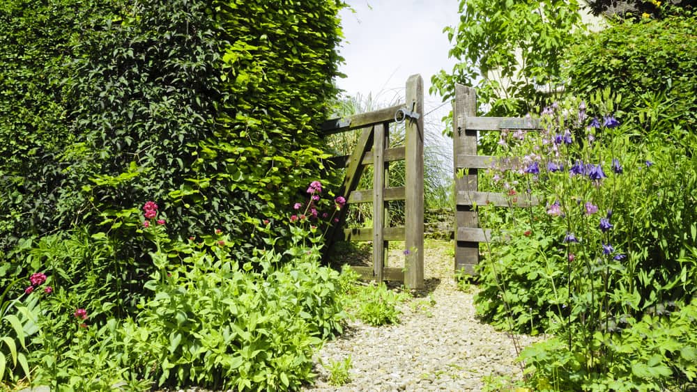english cottage garden