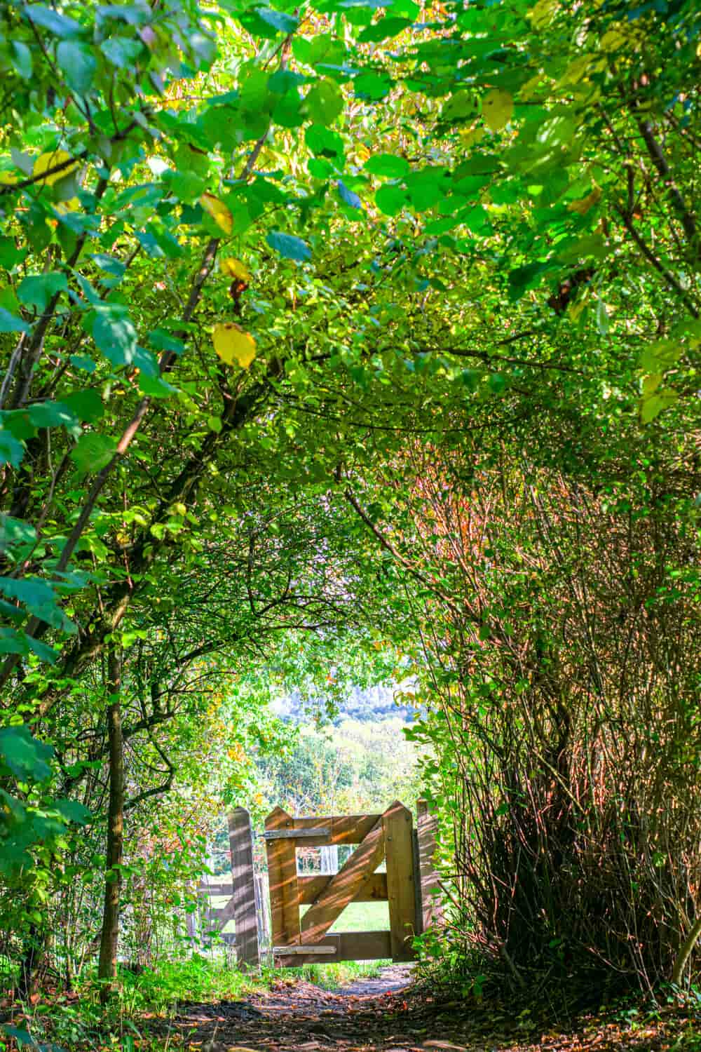 secret garden