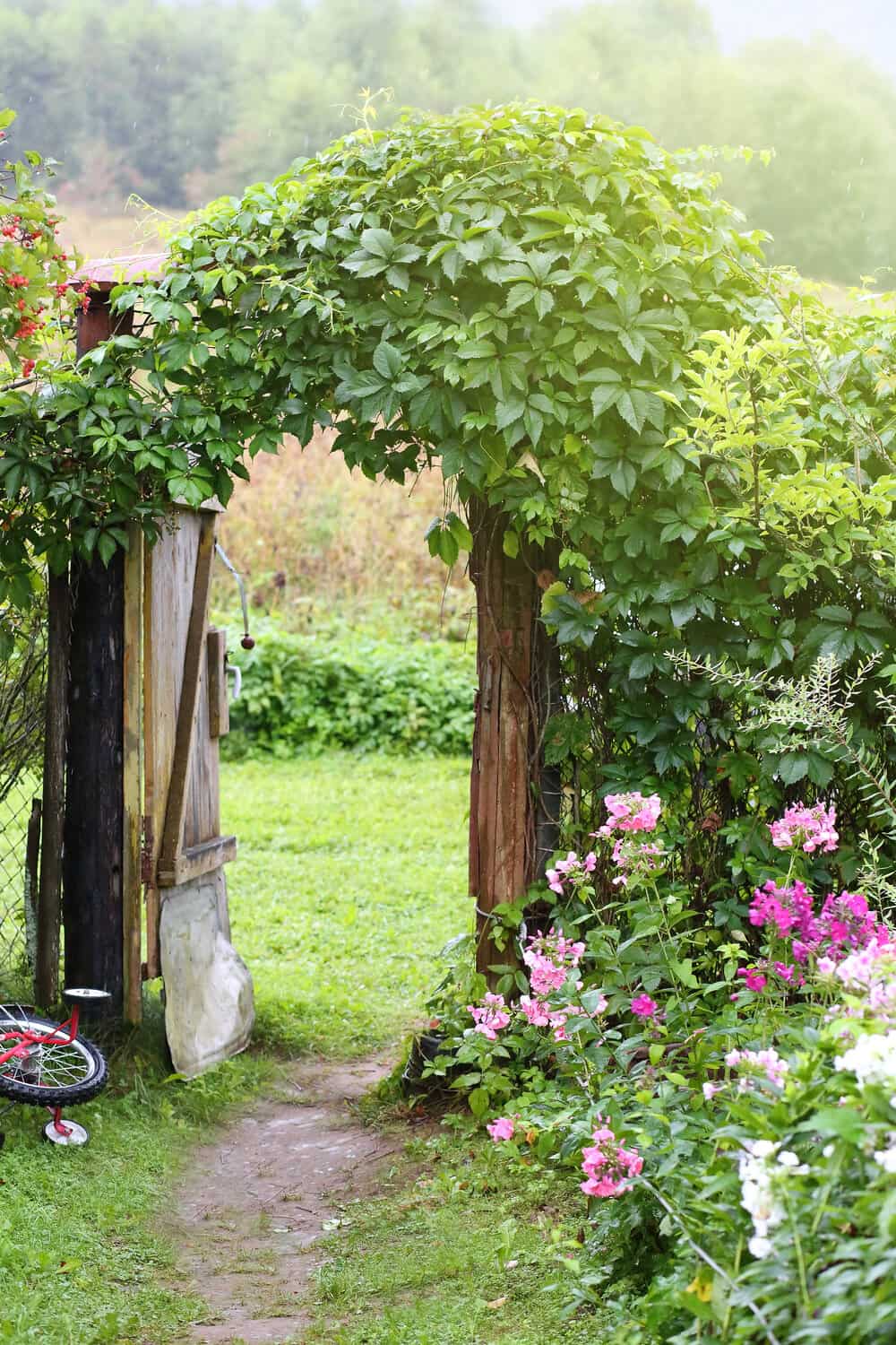 retro gate in a hedgerow
