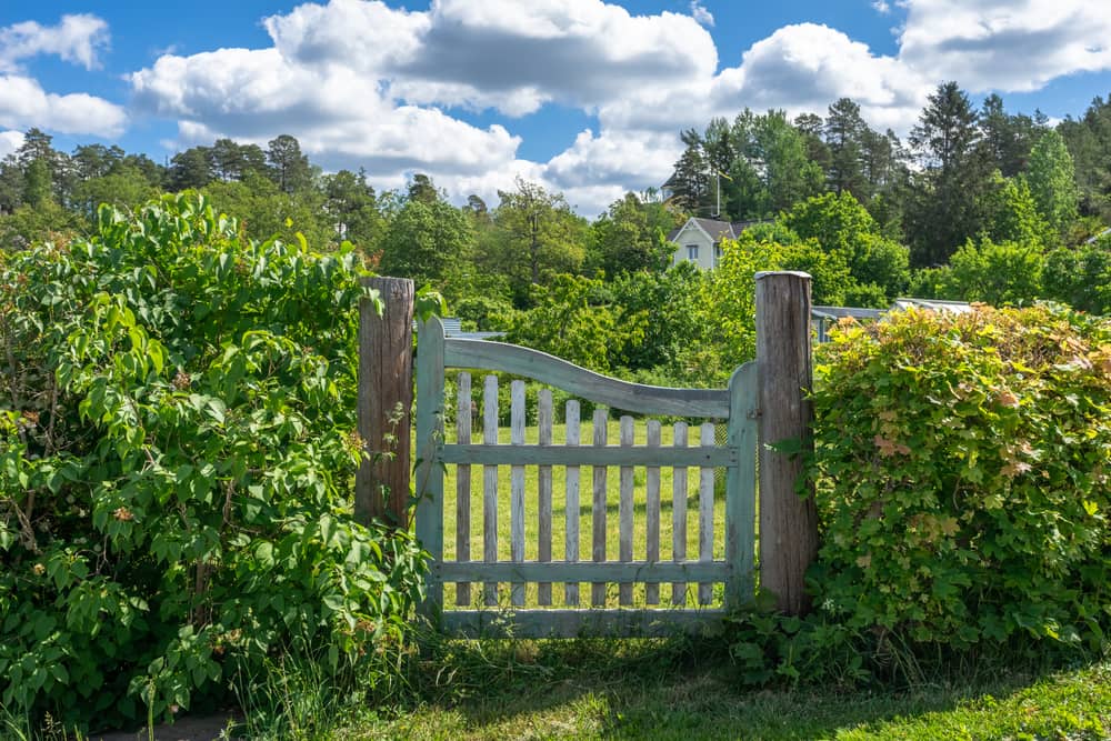 gate in a hedge