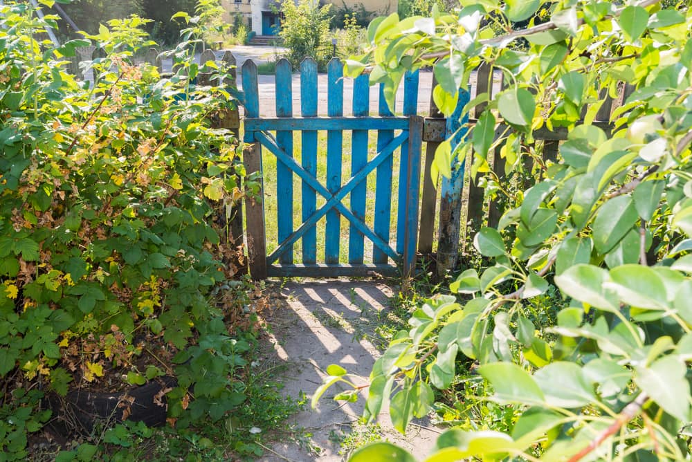 blue gate