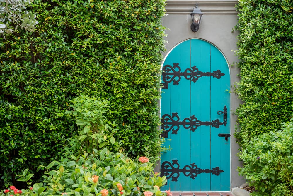 old blue garden door