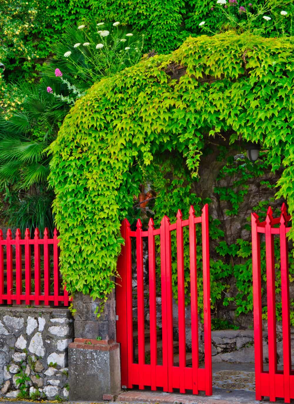 red exotic gate