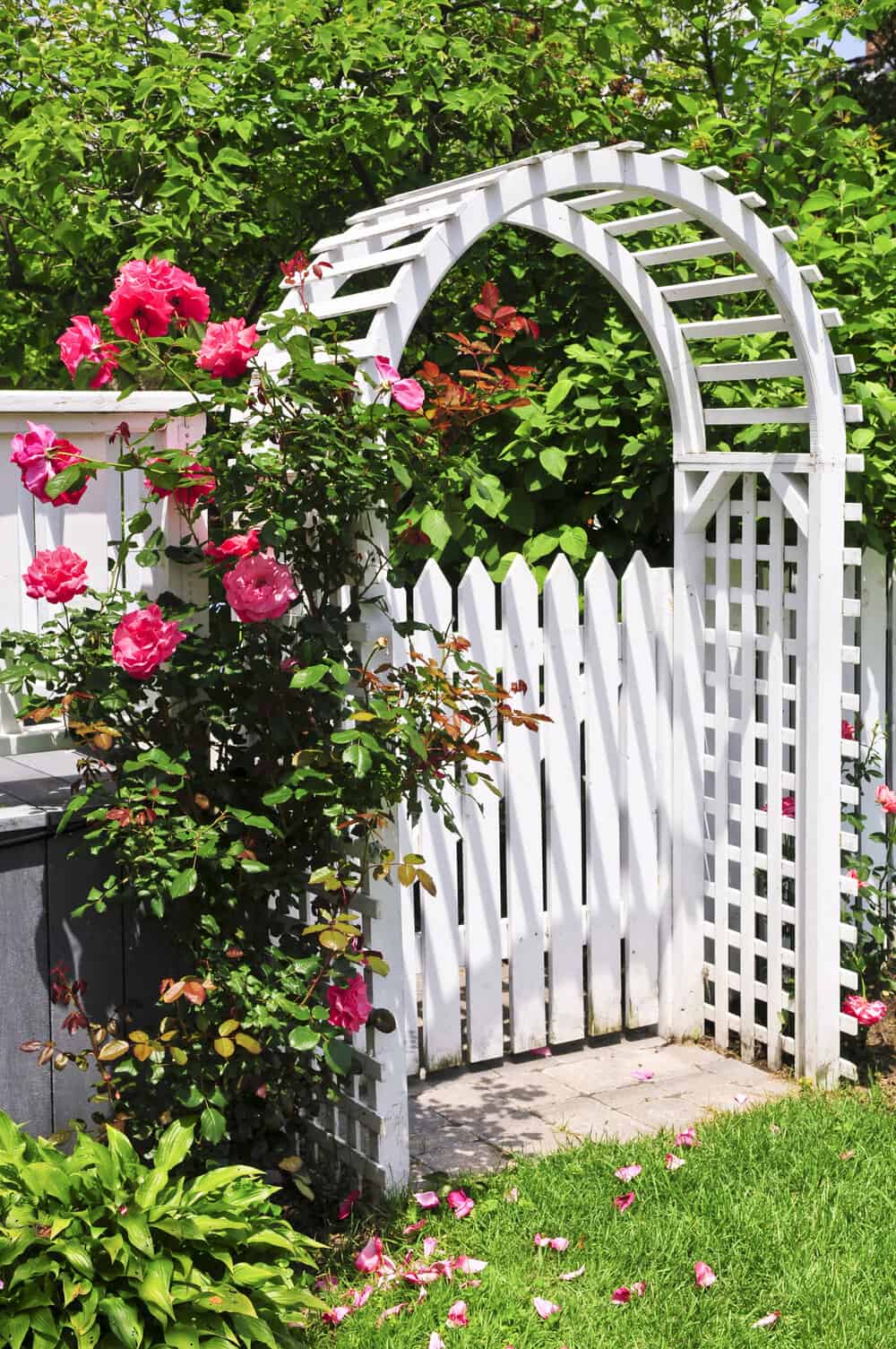 white arbor