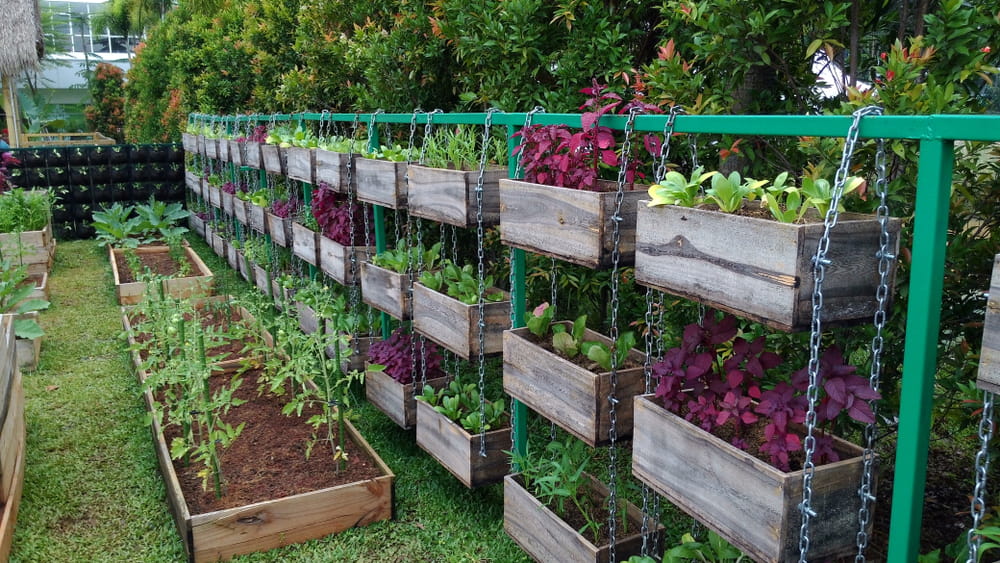 hanging planters