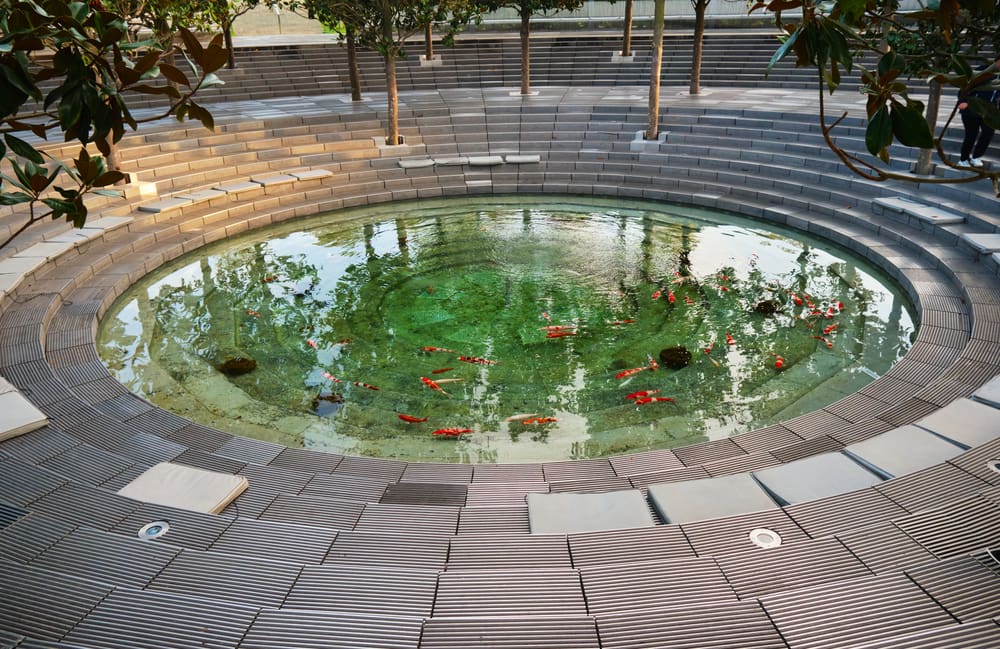 koi-pond-surrounds