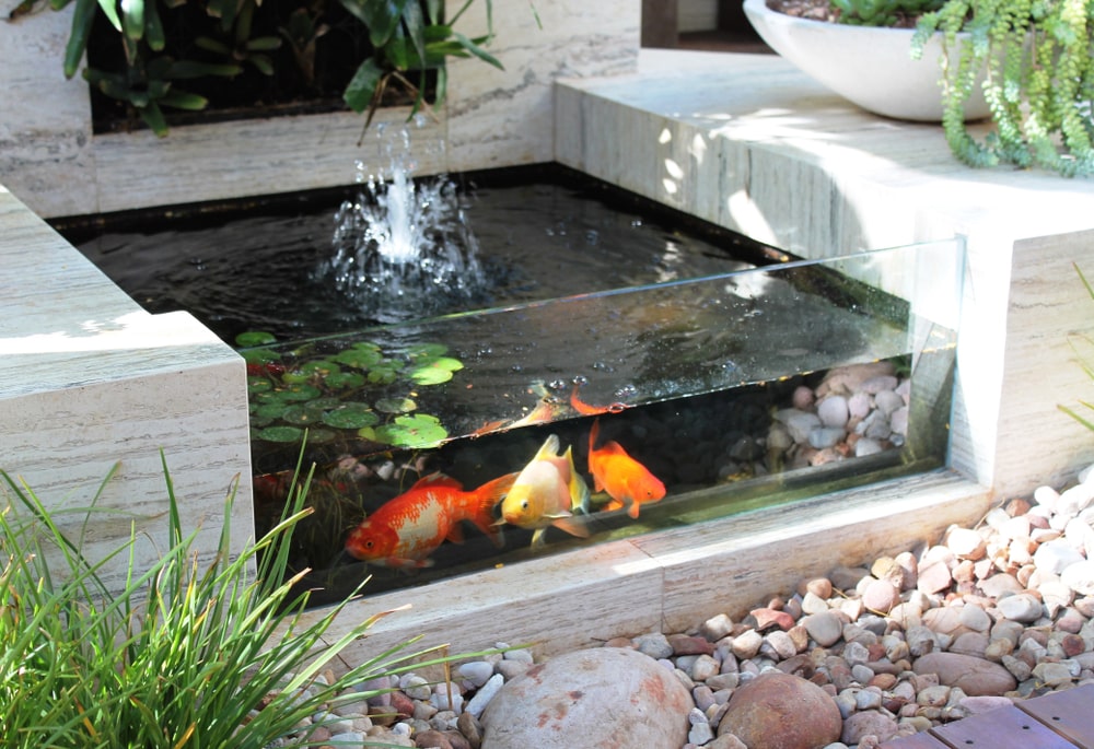 use-a-glass-front