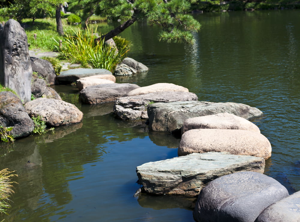 stepping-stones-in-the-Koi-Pond