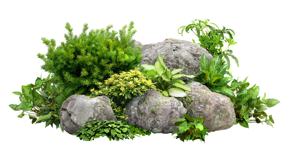 mini-rockery