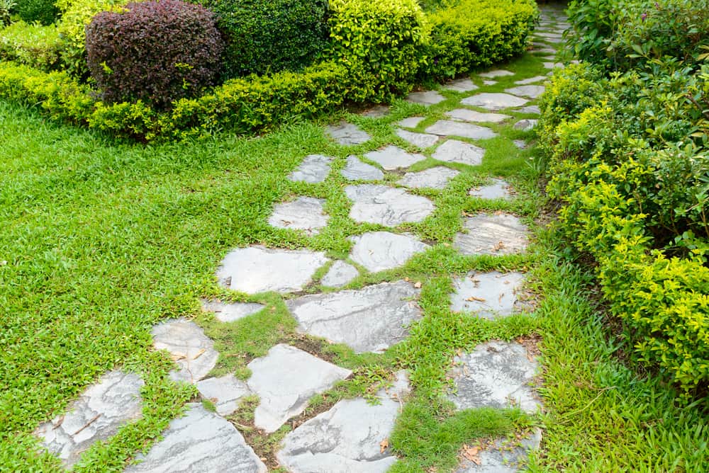 steppingstones-with-rocks