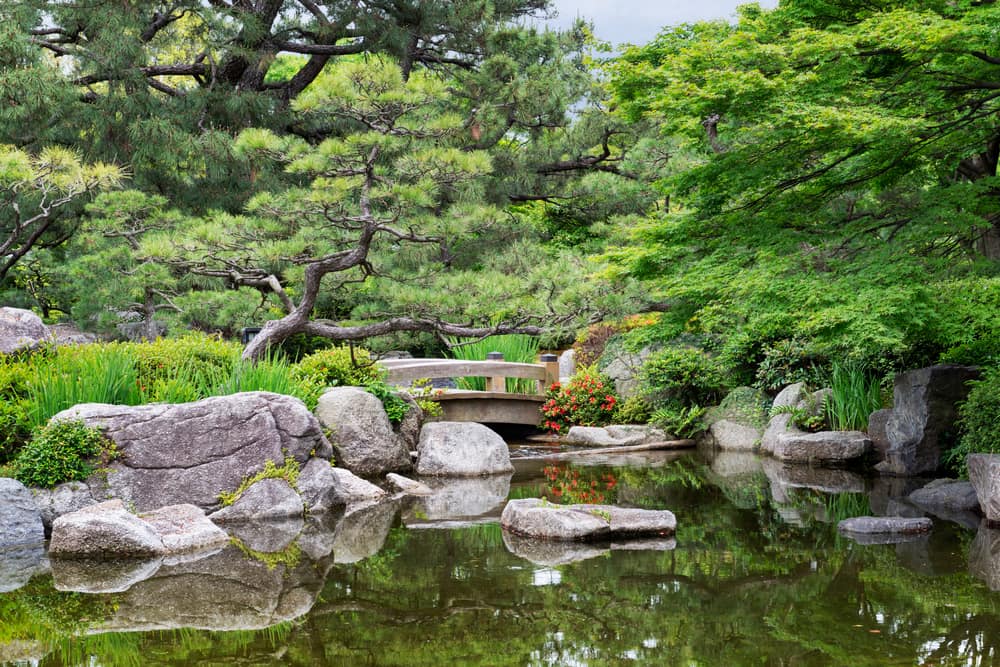 garden-pond-with-rocks