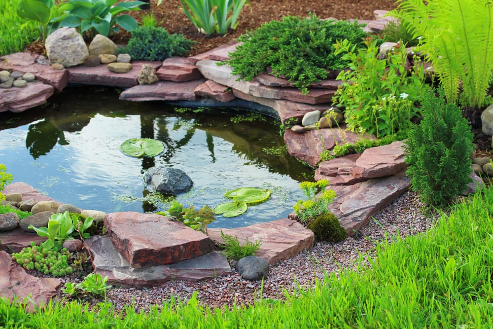 rock-garden-with-a-small-water-pond