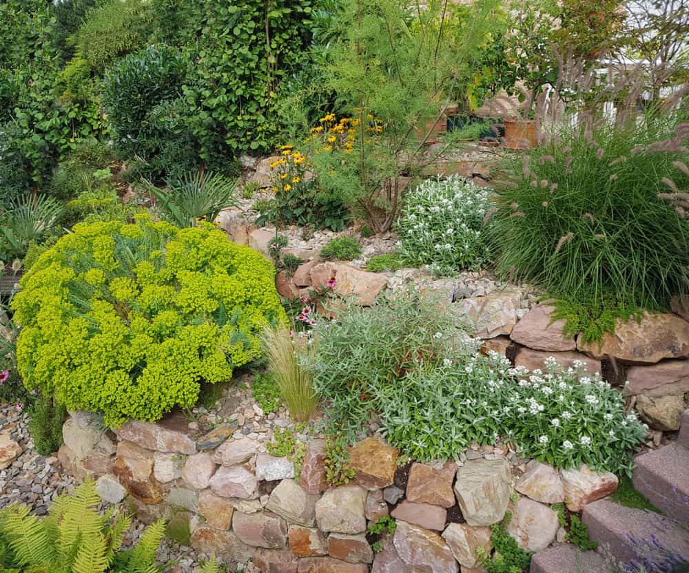 raised-rock-garden