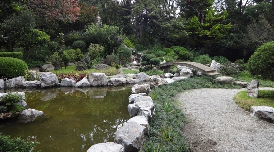 rock garden ideas