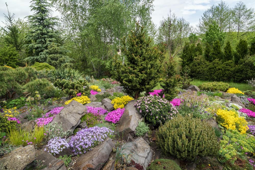 rock-garden-with-natural-stones