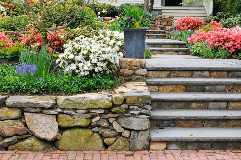 steppingstones-with-flowers