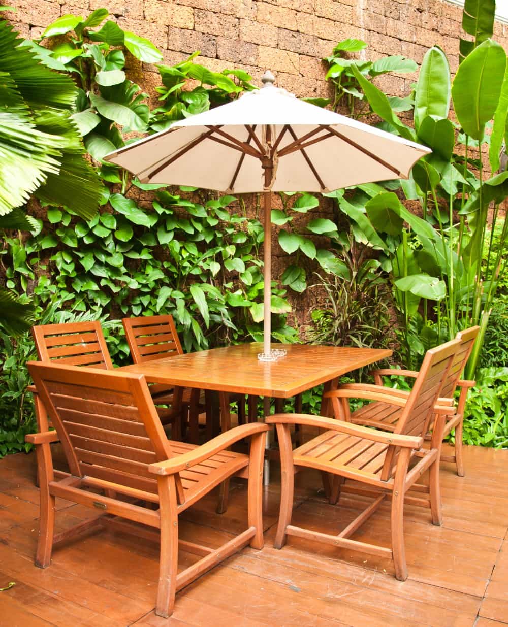 tropical garden backdrop