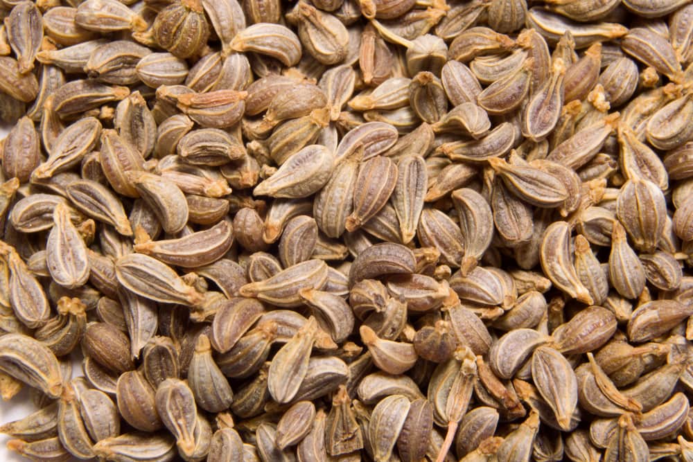parsley seeds