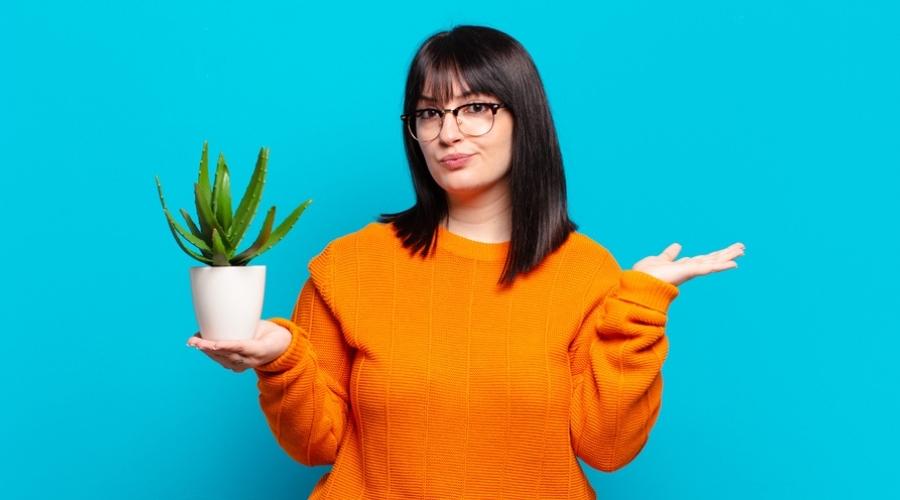 How Long Do Houseplants Live