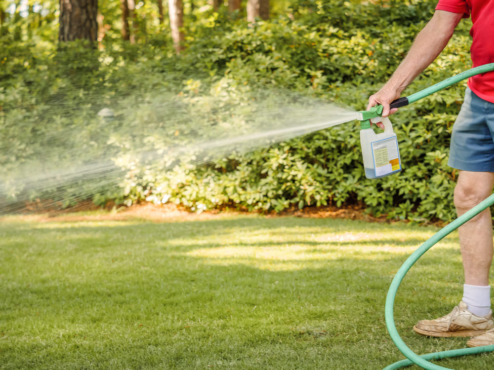 watering grass-seed