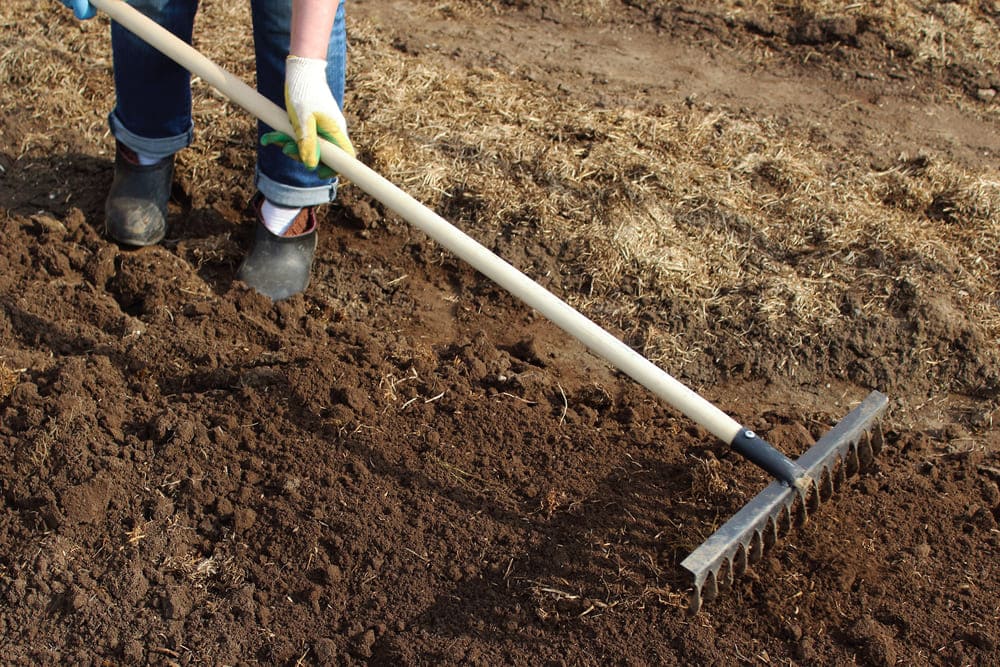 Rake the Soil