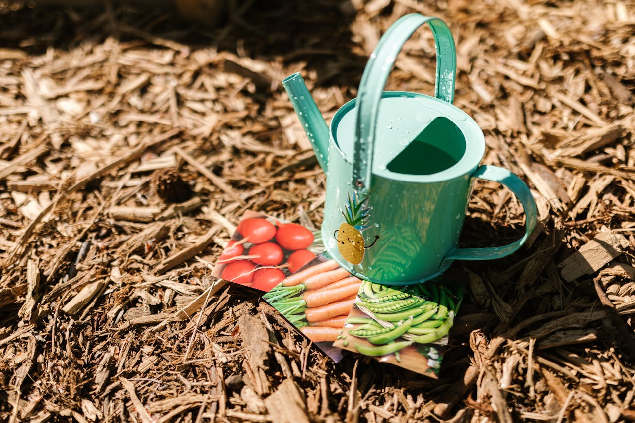 A green watering can with three seed packets