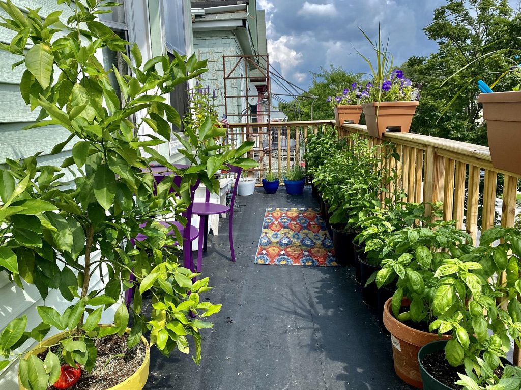 Balcony container garden