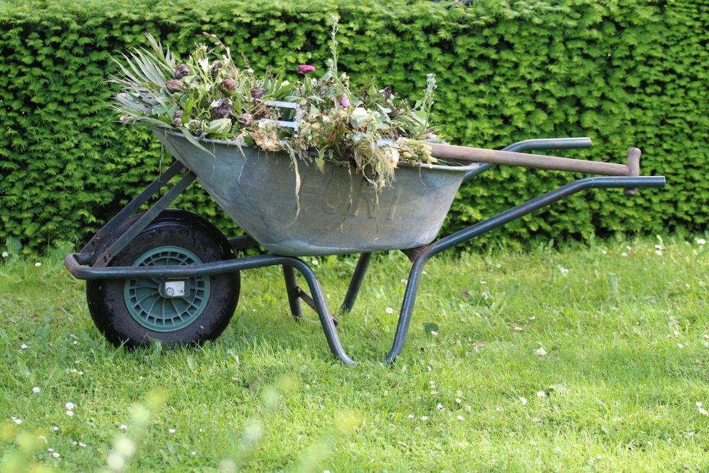 Garden trimmings in a large wheelbarrow