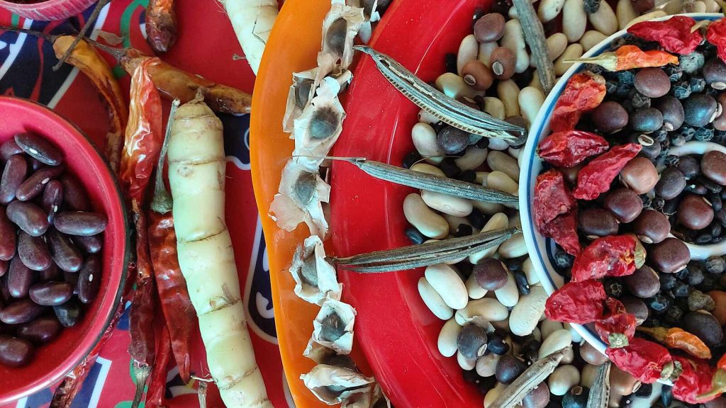Heirloom plant seed collection