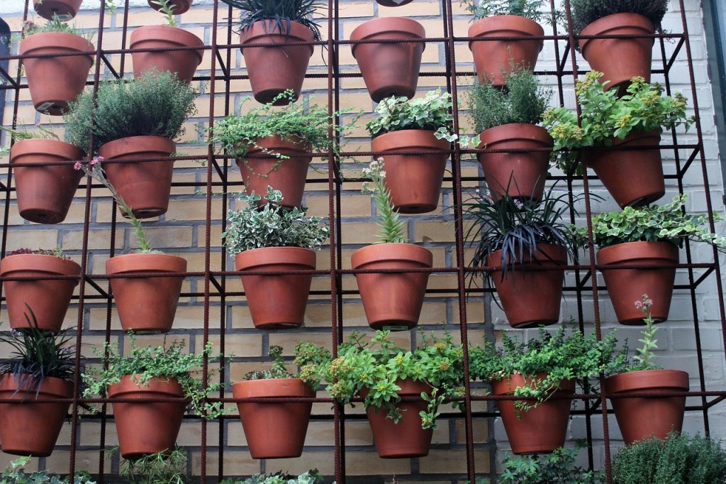 Potted plants on racks