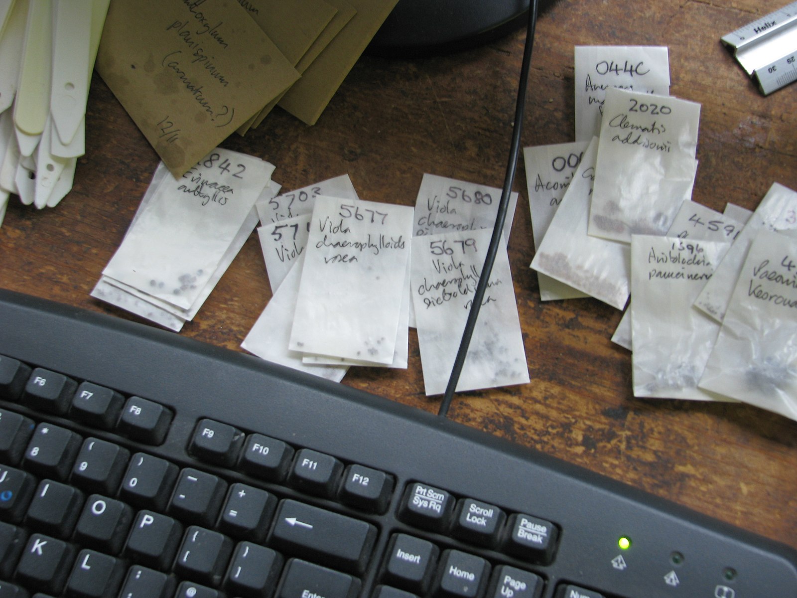 Seed packets for a local seed exchange program