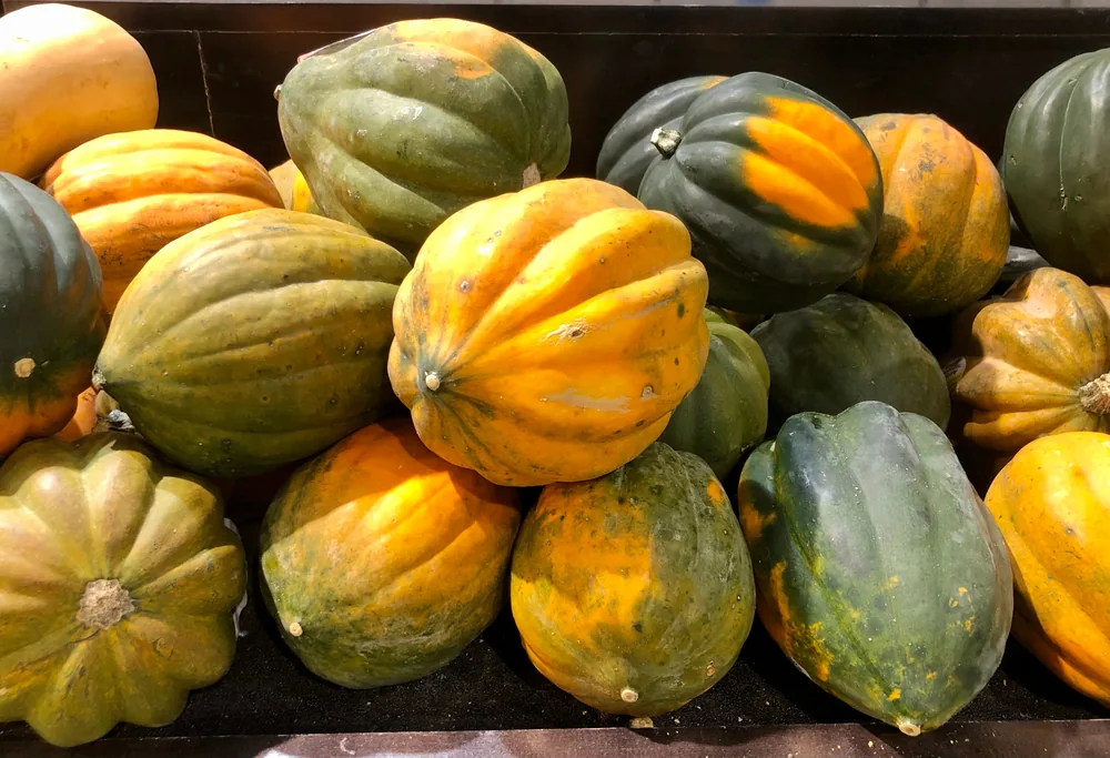 acorn squash