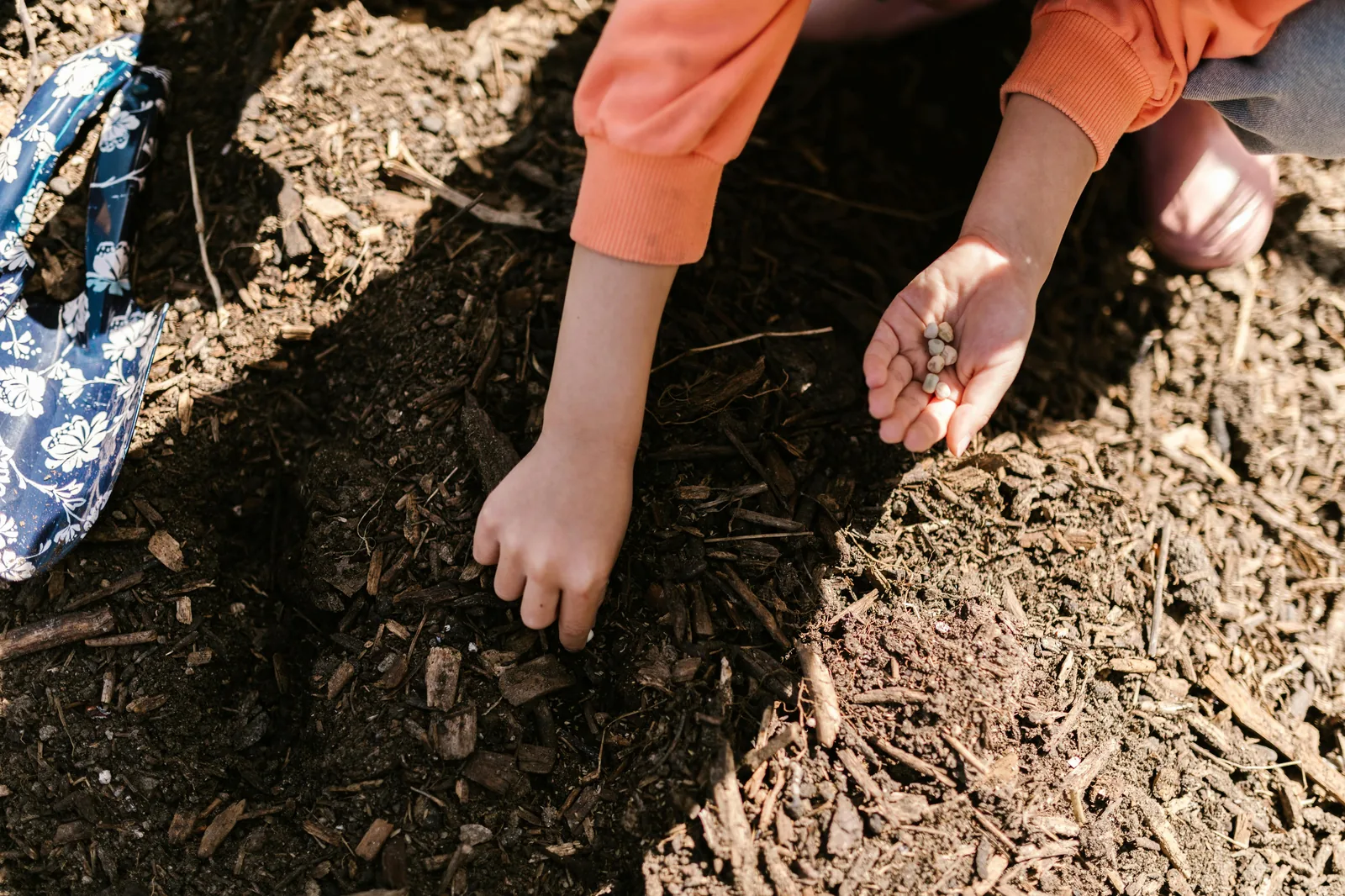 A kid planting seeds outdoors
