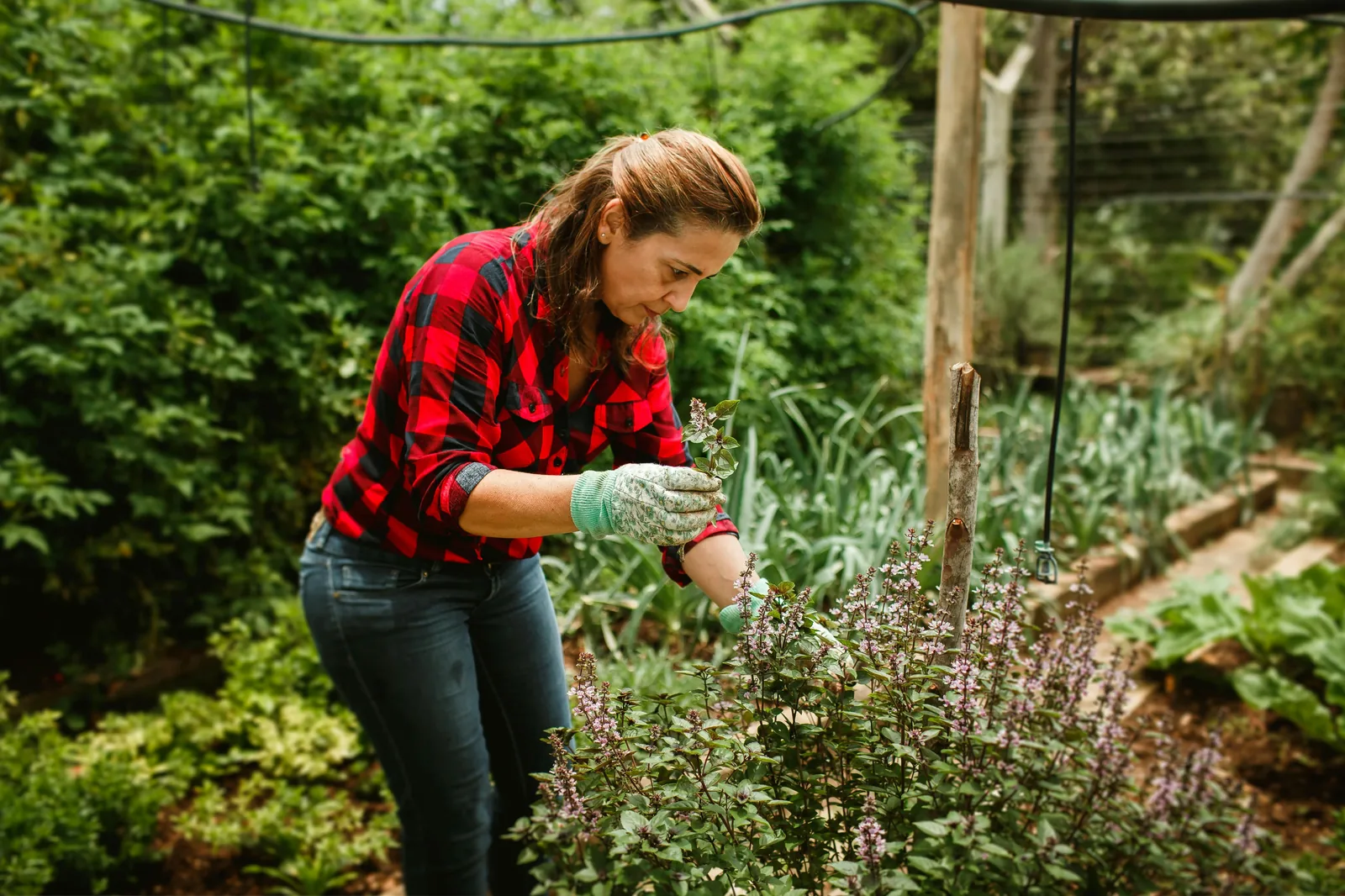Female gardener tending to her garden