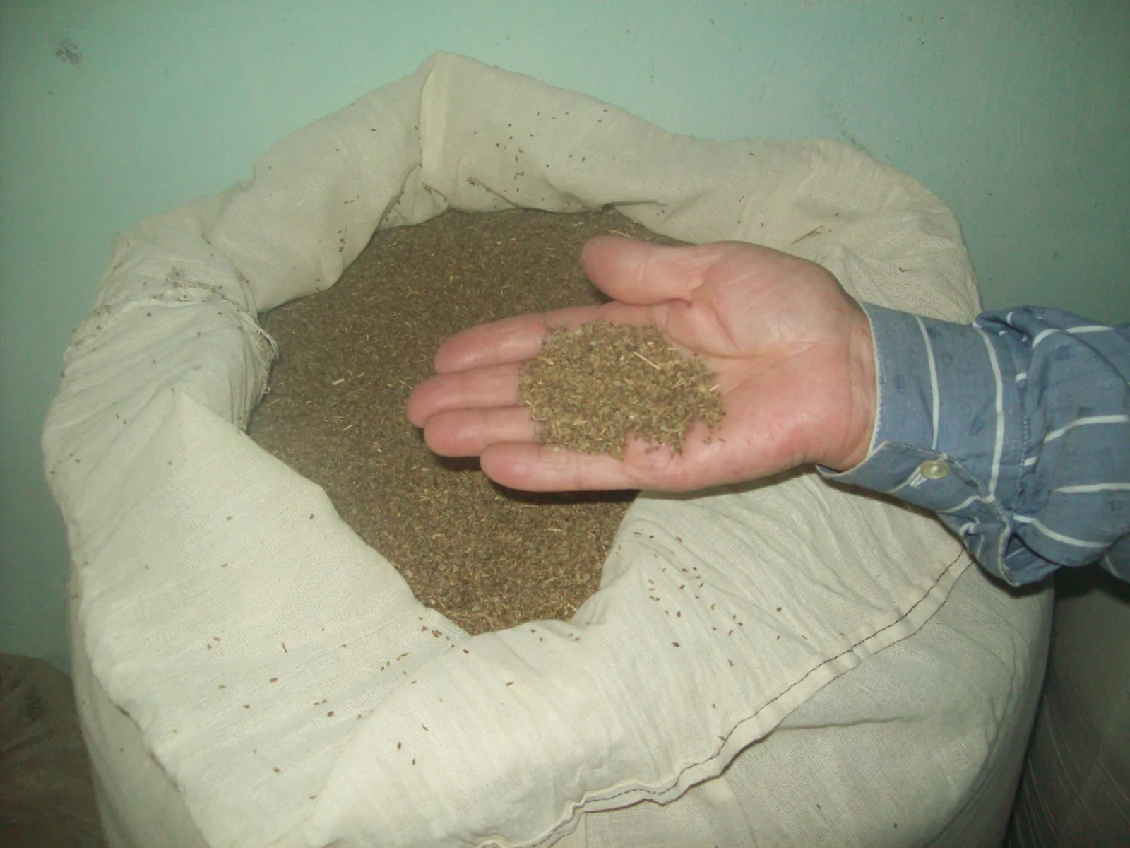 A bag of carrot seeds